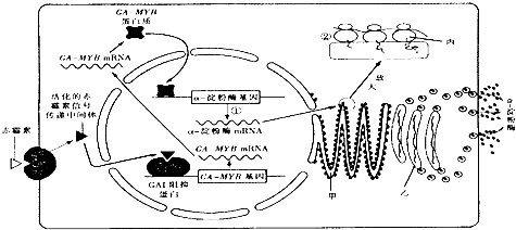 PG电子游戏官网