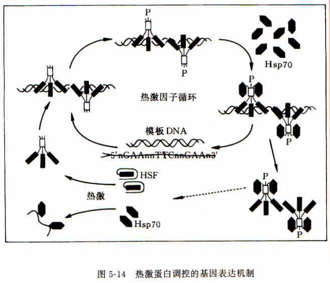 PG电子游戏官网